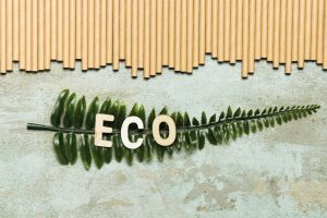 feuille représentant l'écoconduite
